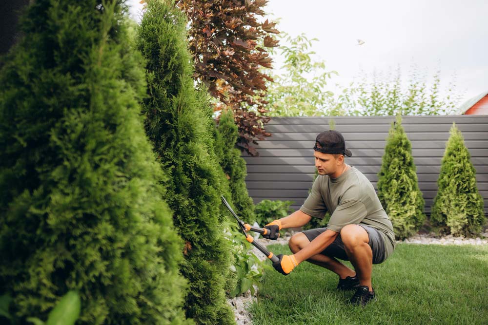 ndis lawn mowing sydney