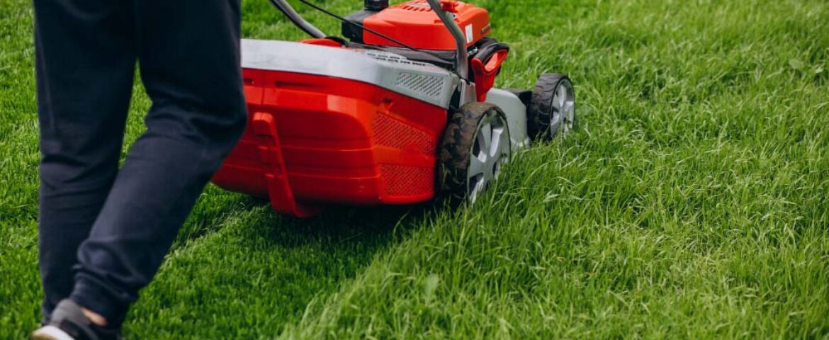NDIS Lawn Mowing Sydney: Benefits Beyond Enhancing Lawn Appearance