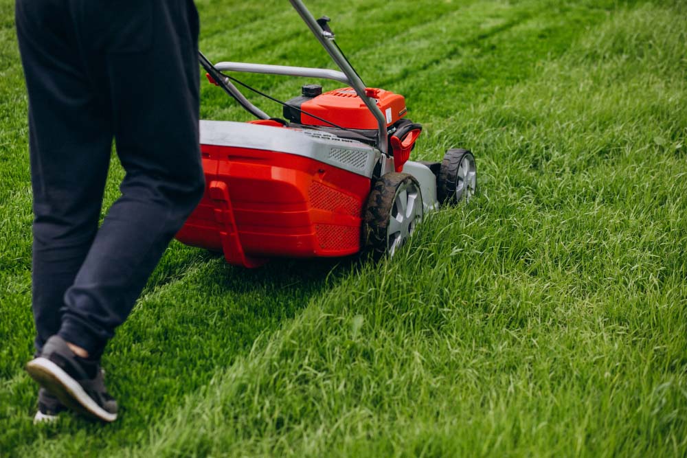 NDIS Lawn Mowing