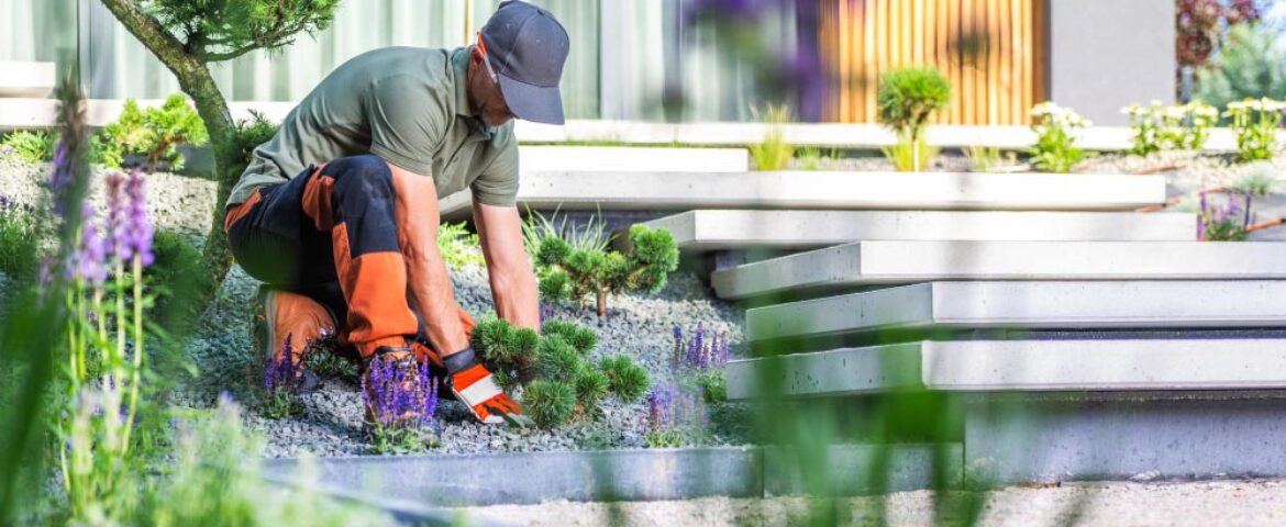 How Does NDIS Gardening and Landscaping Service in Sydney Benefit?