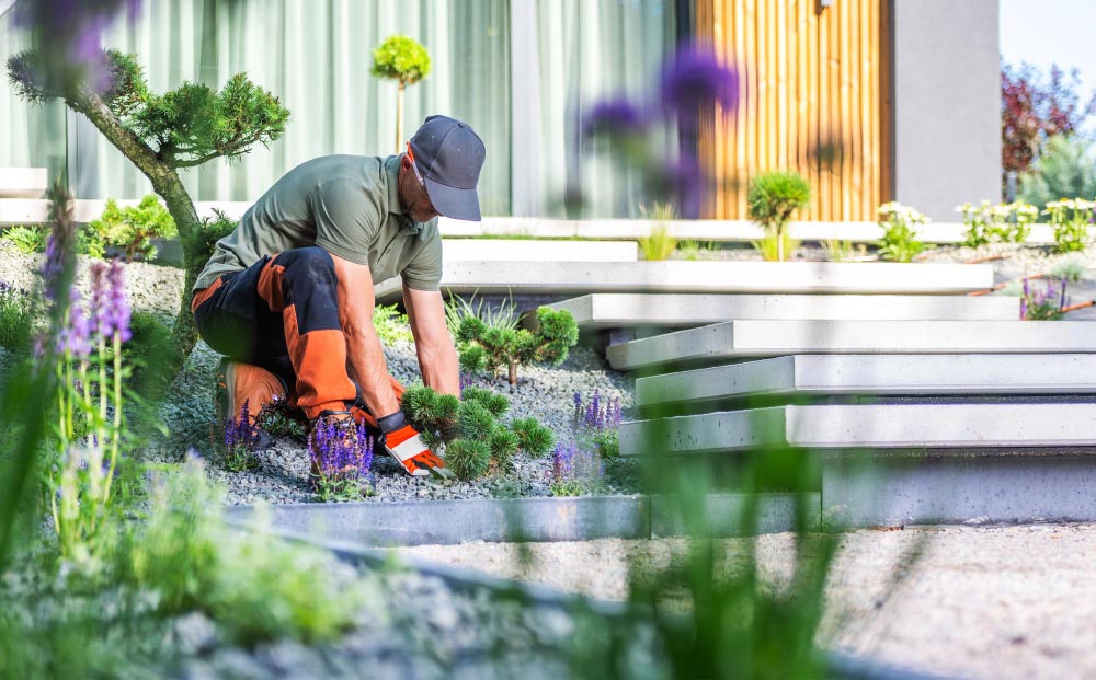 ndis landscaping sydney
